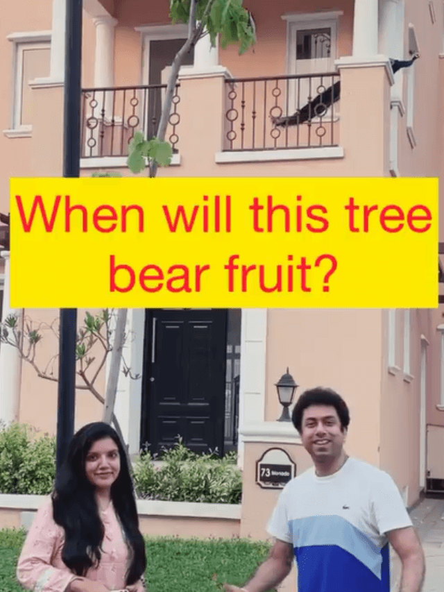 meaning-of-when-will-this-tree-bear-fruit-in-hind