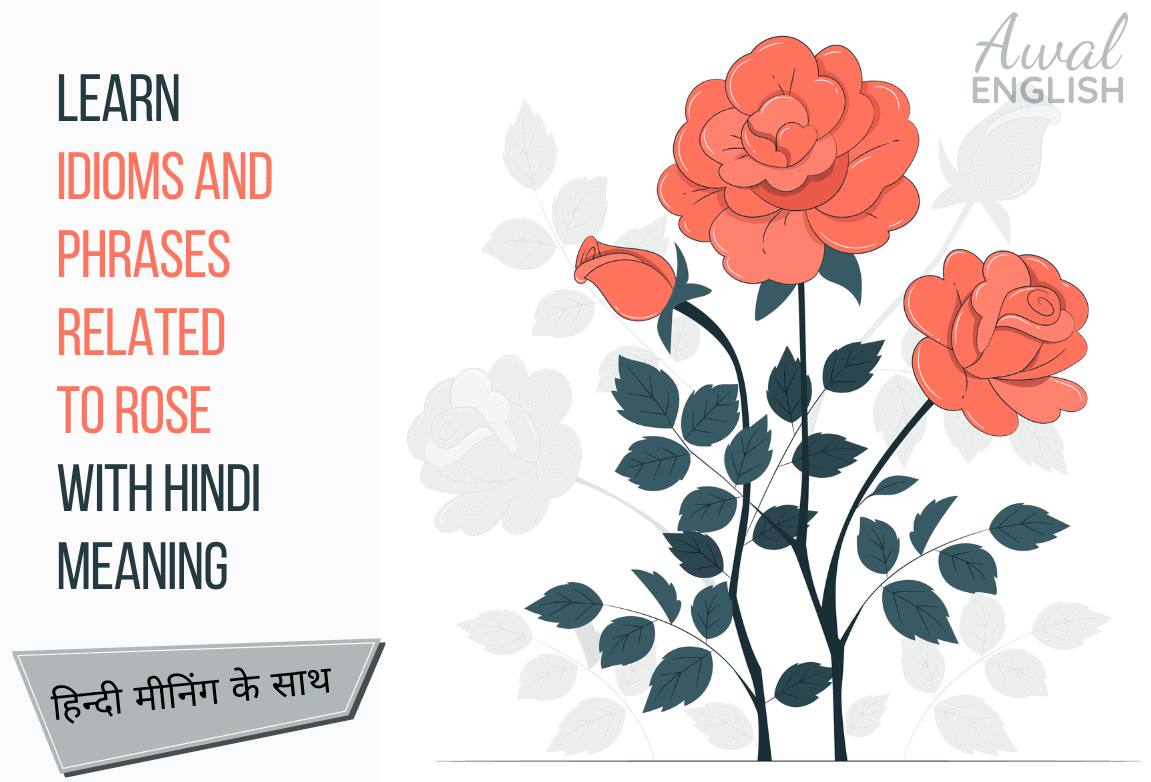 Petals and Rose Idioms and Phrases