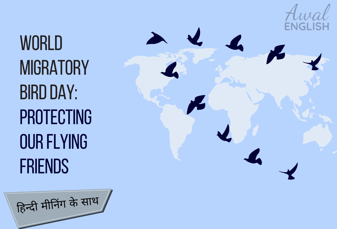 World Migratory Bird Day